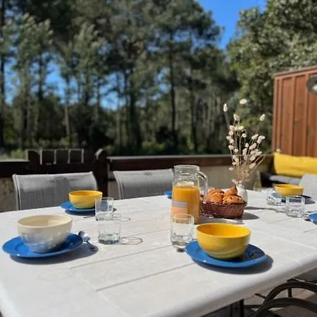 Pignada Maison 6p Vue Sur Les Pins Tatil Evi