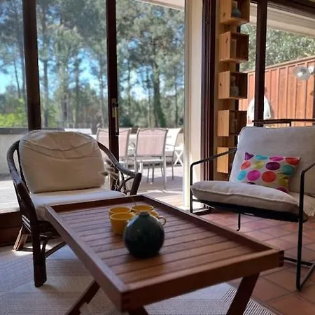 Pignada Maison 6p Vue Sur Les Pins Tatil Evi