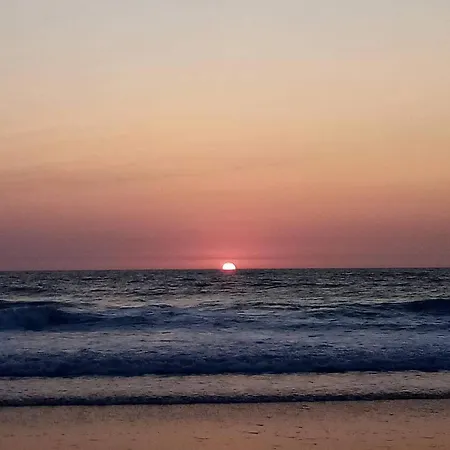 Vakantiehuis Pignada Maison 6p Vue Sur Les Pins