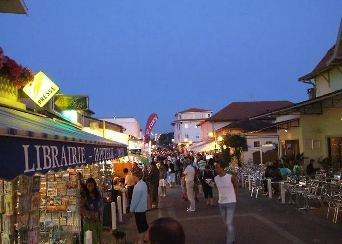 Vakantiehuis Pignada Maison 6p Vue Sur Les Pins