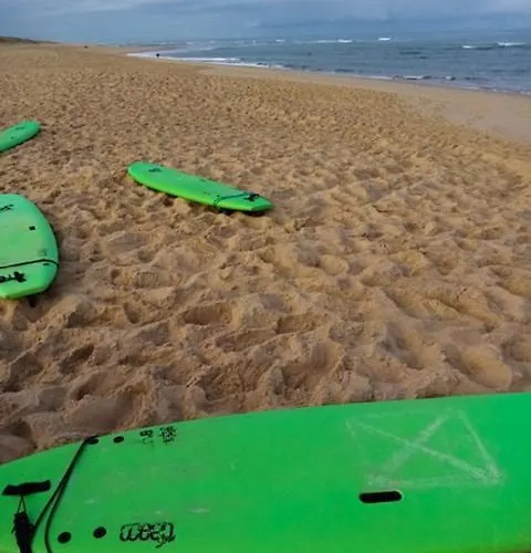 Vakantiehuis Pignada Maison 6p Vue Sur Les Pins Mimizan-Plage